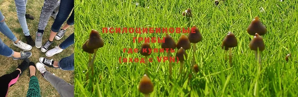 стафф Волоколамск