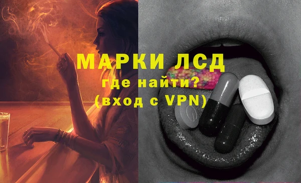 стафф Волоколамск