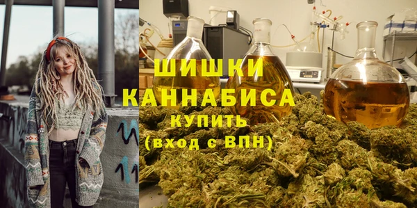 ПСИЛОЦИБИНОВЫЕ ГРИБЫ Волосово